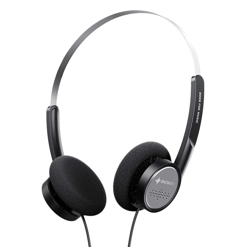 FiiO Snowsky Wind