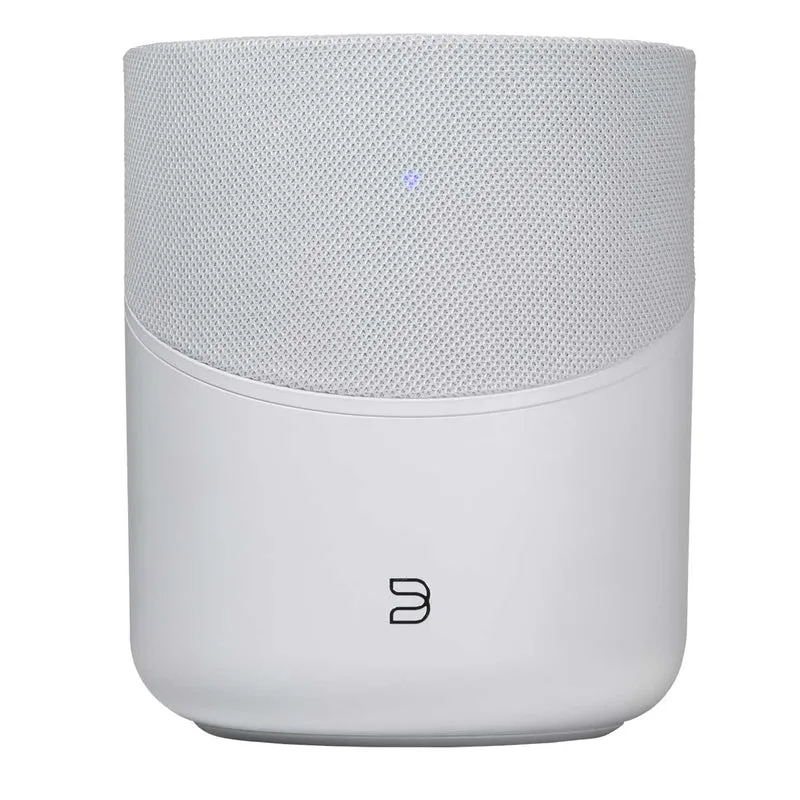 Bluesound PULSE M
